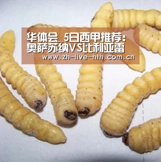 华体会_5日西甲推荐:奥萨苏纳VS比利亚雷亚尔(图3) 华体会app