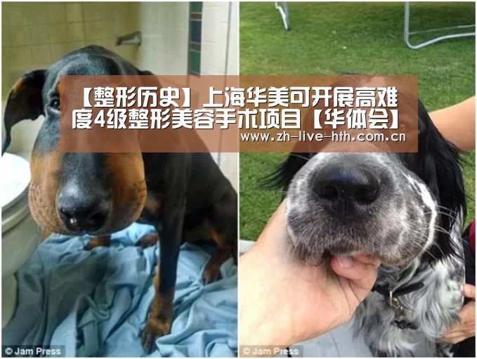 【整形历史】上海华美可开展高难度4级整形美容手术项目【华体会】(图1) 华体会棋牌登录