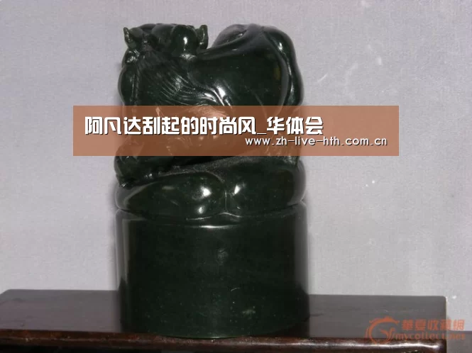 阿凡达刮起的时尚风_华体会(图2) 华体会app
